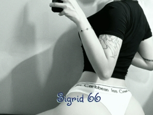 sigrid_66 Stripx