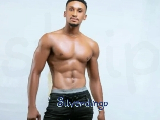 silverdingo Stripx