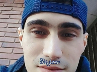 skyleer Stripx