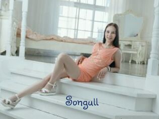 Songull