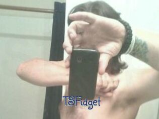 TSFidget