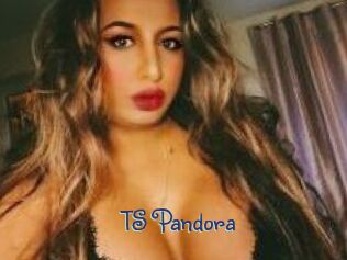TS_Pandora