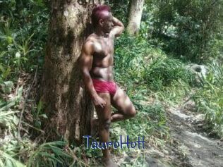 Tauro_Hott