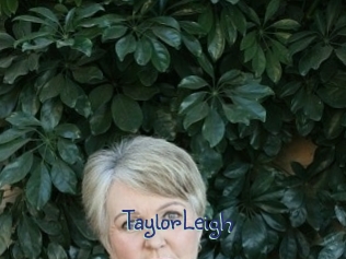 TaylorLeigh Stripx