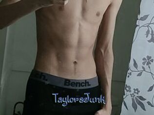TaylorsJunk