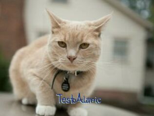 TestAlaric