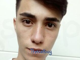 Thecatboy