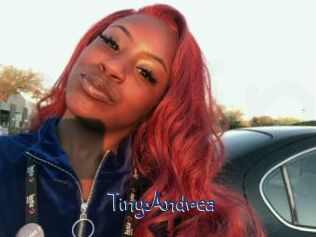 TinyAndrea