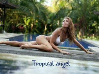 Tropical_angel