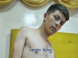 taner_king Stripx