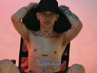 Tatevogel