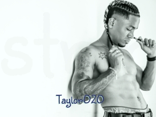 taylor020 Stripx
