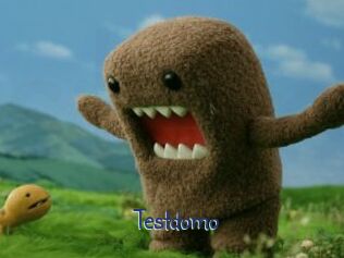 Testdomo