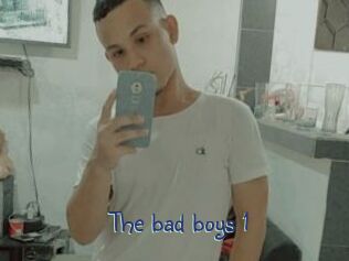 The_bad_boys_1