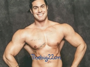 Thebig22cm