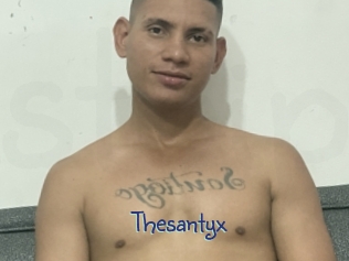 Thesantyx