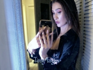 Tiny_taylor
