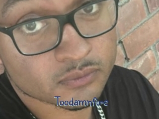 toodamnfire Stripx