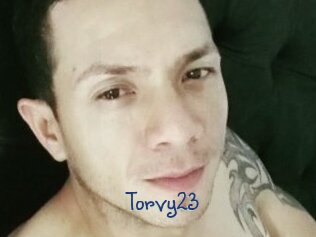 Torvy23