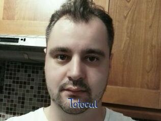 Totocul
