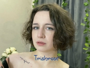 Trishrose