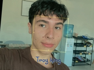 troy_king Stripx