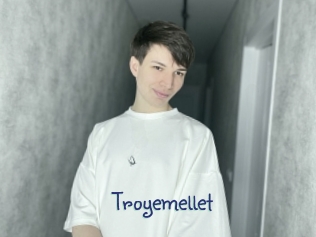 troyemellet Stripx