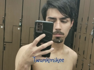 Twunkmikee