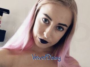 VelvetDaisy