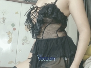 veezian Stripx