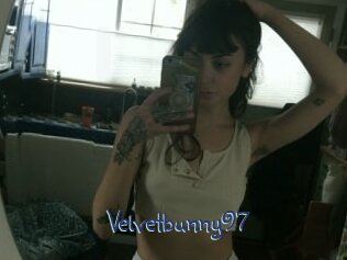 Velvetbunny97