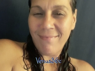 Venus36c