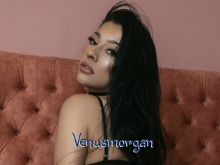 Venusmorgan