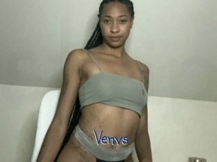 Venvs