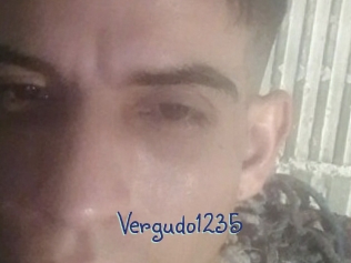Vergudo1235