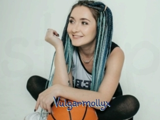 Vulgarmollyx