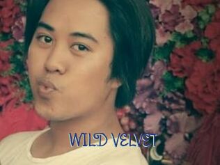WILD_VELVET
