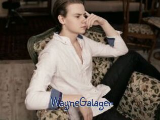 WayneGalager
