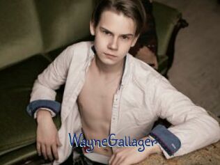 WayneGallager