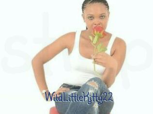 WildLittleKitty22