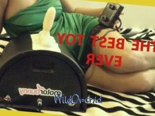 WildOrchid_