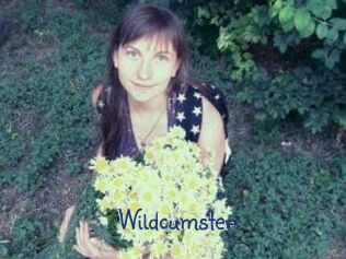 Wildcumster