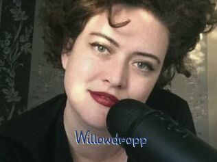 Willowdropp