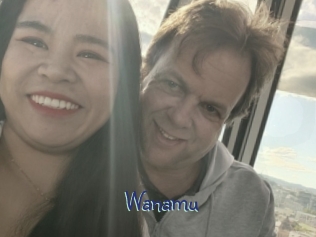 Wanamu