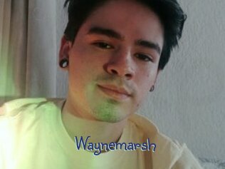 Waynemarsh