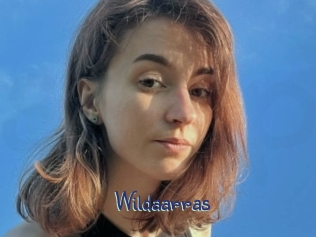 Wildaarras