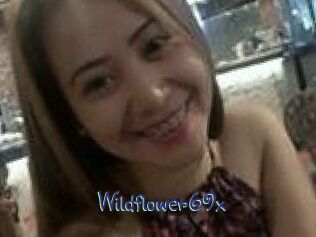 Wildflower69x