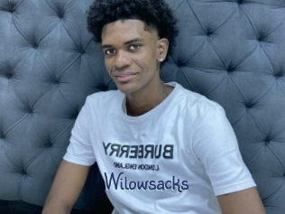 Wilowsacks