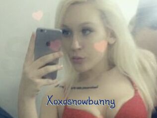 Xoxosnowbunny Stripx