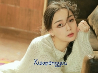 Xiaopengyou